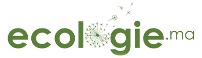 SMALLlogo-eco-green-transparent-2